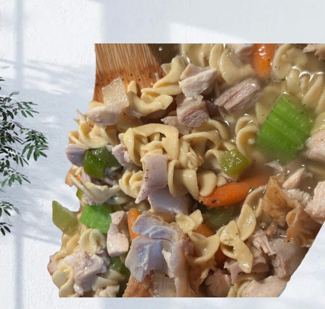 Chicken Noodle Soup